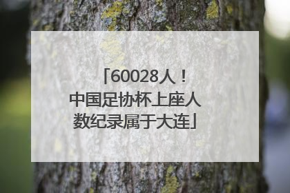 60028人！中国足协杯上座人数纪录属于大连