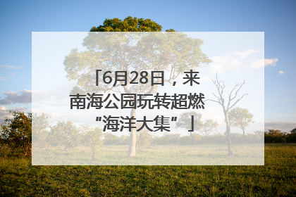 6月28日，来南海公园玩转超燃 “海洋大集”