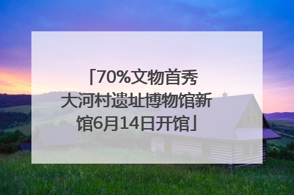 70%文物首秀 大河村遗址博物馆新馆6月14日开馆