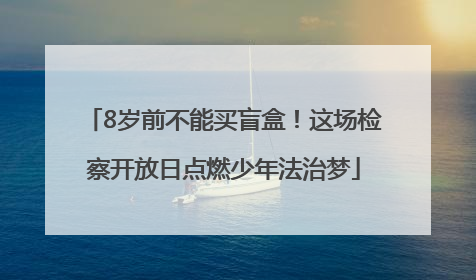 8岁前不能买盲盒！这场检察开放日点燃少年法治梦
