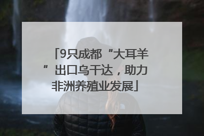 9只成都“大耳羊”出口乌干达，助力非洲养殖业发展