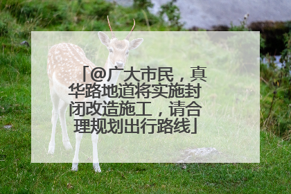 @广大市民，真华路地道将实施封闭改造施工，请合理规划出行路线