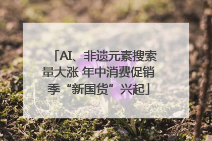 AI、非遗元素搜索量大涨 年中消费促销季“新国货”兴起