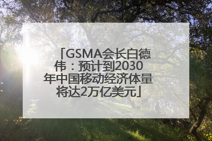 GSMA会长白德伟：预计到2030年中国移动经济体量将达2万亿美元