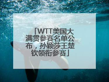 WTT美国大满贯参赛名单公布，孙颖莎王楚钦领衔参赛