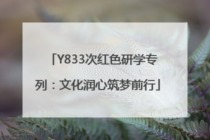 Y833次红色研学专列：文化润心筑梦前行